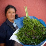 Mexico-(8)